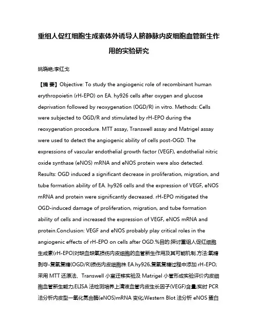 重组人促红细胞生成素体外诱导人脐静脉内皮细胞血管新生作用的实验研究