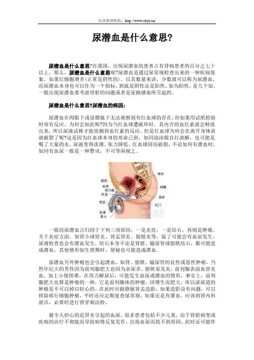 尿潜血是什么意思