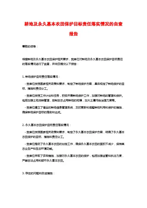 耕地及永久基本农田保护目标责任落实情况的自查报告 (2)