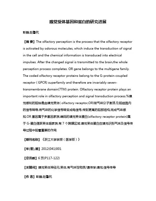 嗅觉受体基因和蛋白的研究进展
