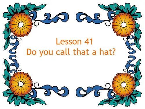 Lesson41+Do+you+call+that+a+hat_(课件)新概念英语第二册