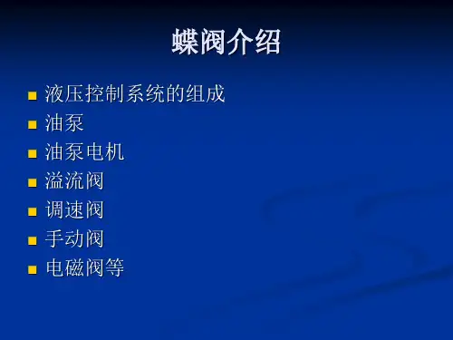蝶阀PPT
