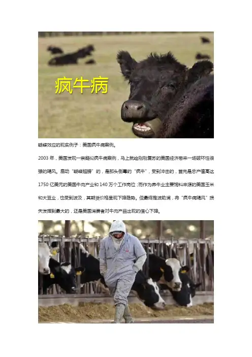 蝴蝶效应的现实例子
