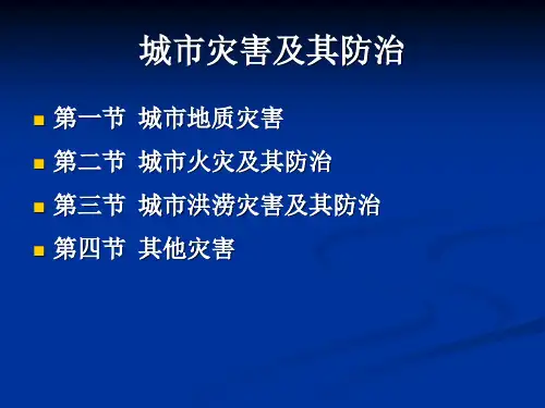 城市灾害及其防治.ppt
