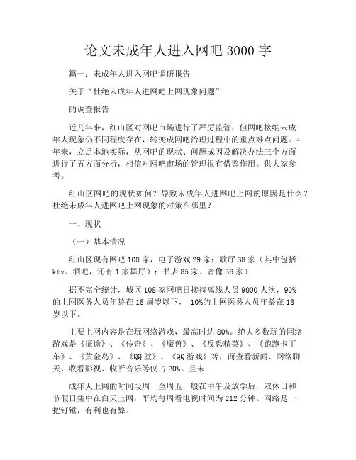 论文未成年人进入网吧3000字