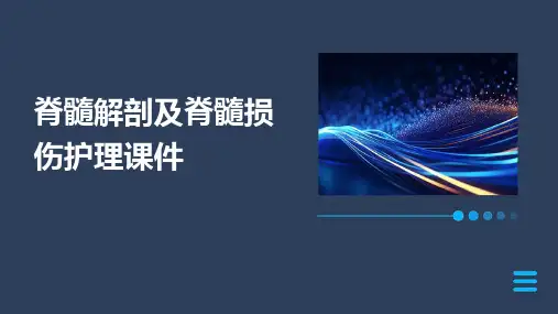 脊髓解剖及脊髓损伤护理课件