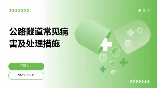 公路隧道常见病害及处理措施