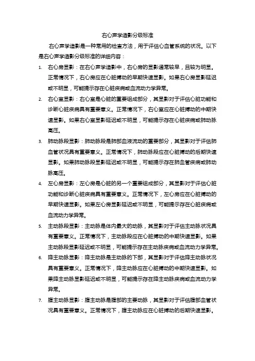 右心声学造影分级标准