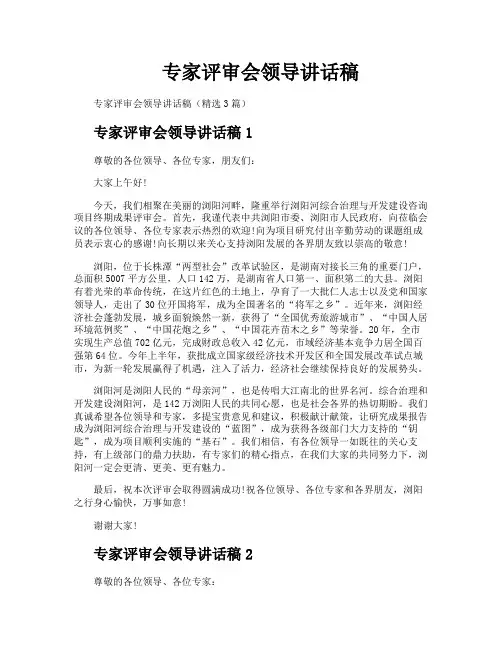 专家评审会领导讲话稿