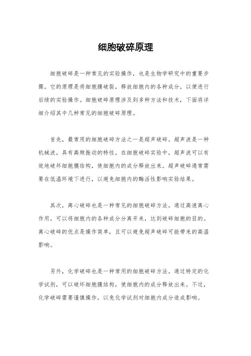 细胞破碎原理