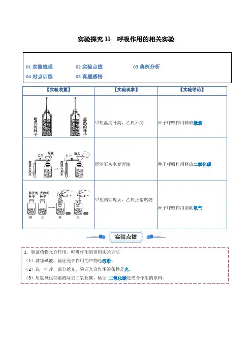 实验探究11呼吸作用的相关实验