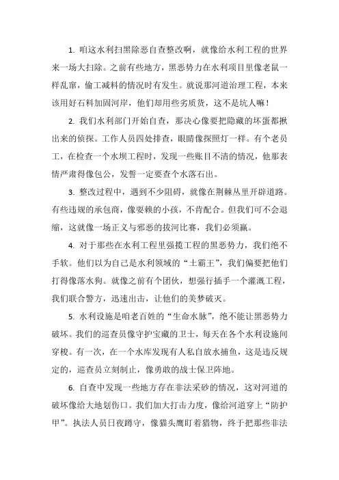 水利扫黑除恶自查整改报告