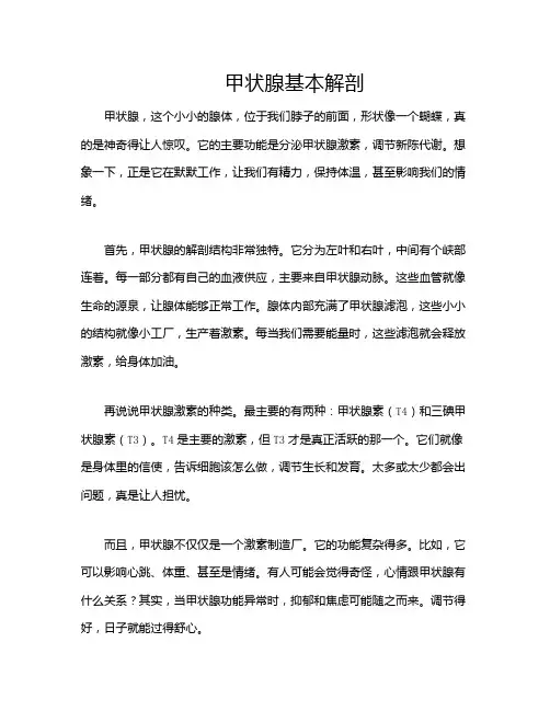 甲状腺基本解剖