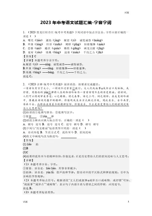 2023年中考语文试题《字音字词》