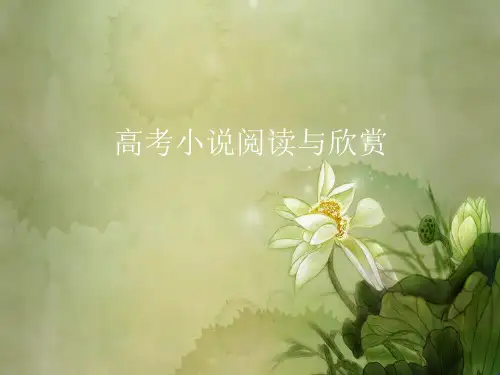 《高考小说阅读》PPT课件.ppt