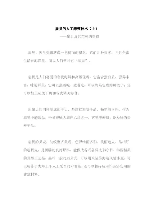扇贝的人工养殖技术