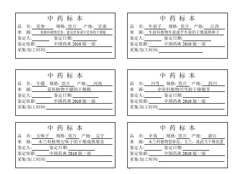 中药材中药饮片标本标签模板