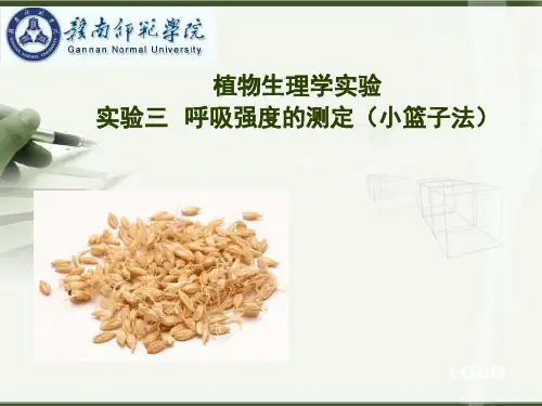 植物生理学实验：实验三 呼吸强度的测定(小篮子法)