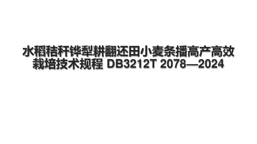水稻秸秆铧犁耕翻还田小麦条播高产高效栽培技术规程 DB3212T 2078—2024.pptx
