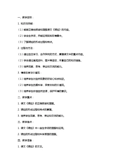 《琥珀》教案范文
