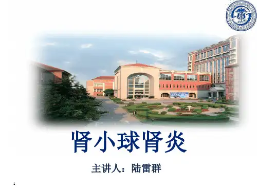 肾小球肾炎课件PPT