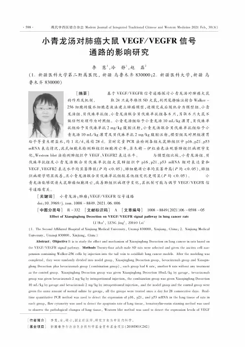 小青龙汤对肺癌大鼠VEGFVEGFR信号通路的影响研究