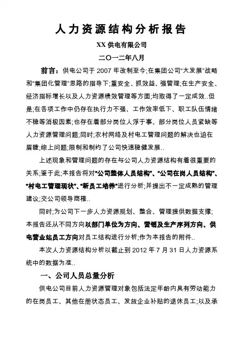 供电公司人力资源分析