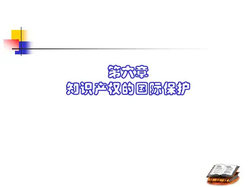知识产权的国际保护