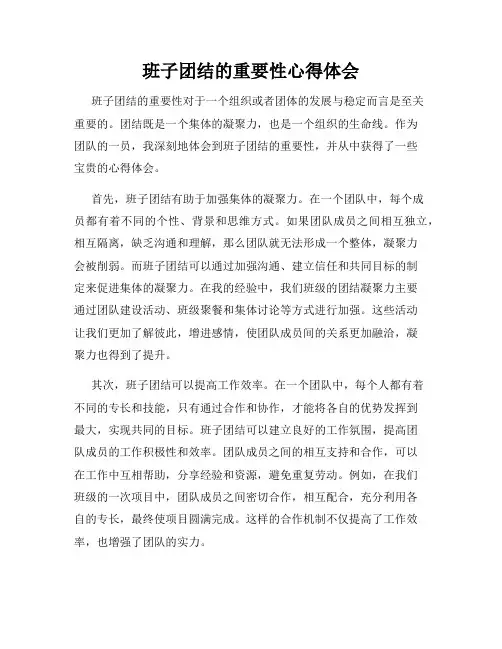班子团结的重要性心得体会
