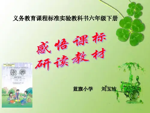 人教版六年级数学下册知识树