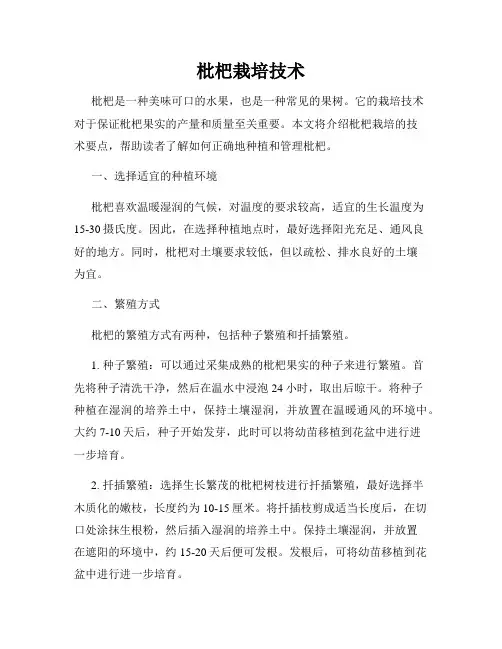 枇杷栽培技术