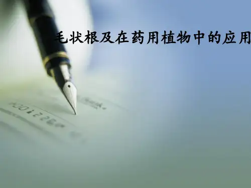 浅谈毛状根及在药用植物中的应用