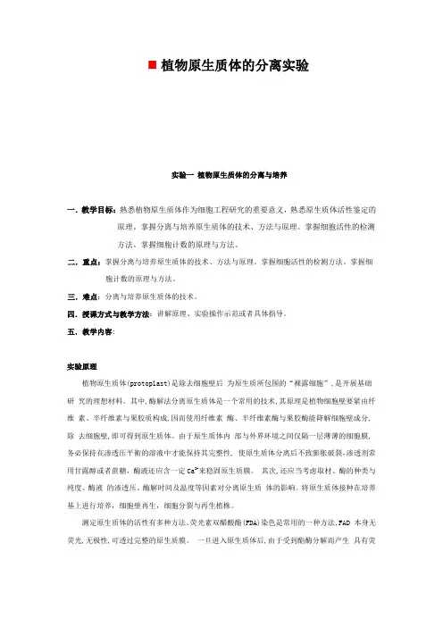 植物原生质体的分离实验