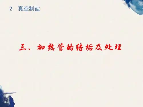 真空制盐(3)防垢与除垢.ppt