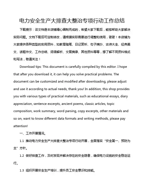电力安全生产大排查大整治专项行动工作总结