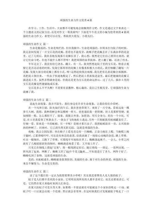 顽强的生命力作文优秀4篇