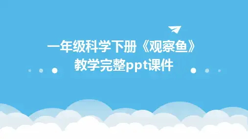 一年级科学下册《观察鱼》教学完整ppt课件