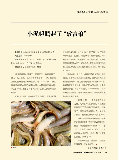 小泥鳅腾起了'致富浪'