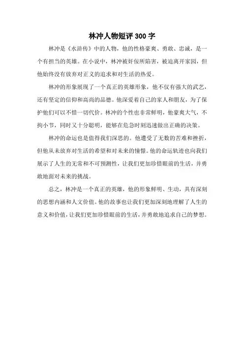 林冲人物短评300字