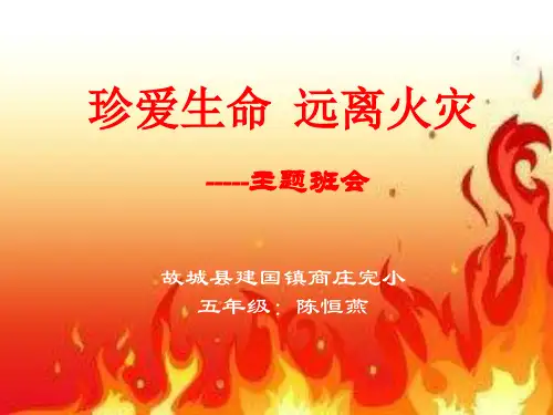 珍爱生命_远离火