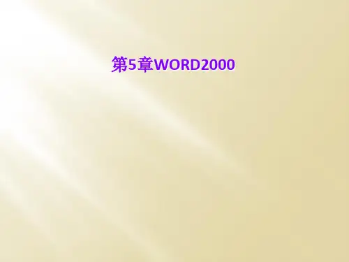 第5章WORD2000
