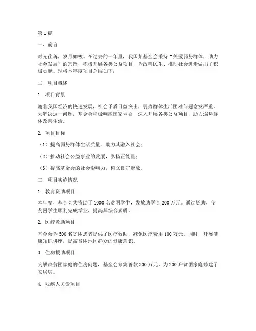 基金会项目年度总结(3篇)