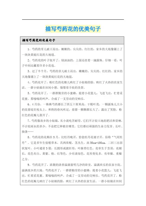 描写芍药花的优美句子