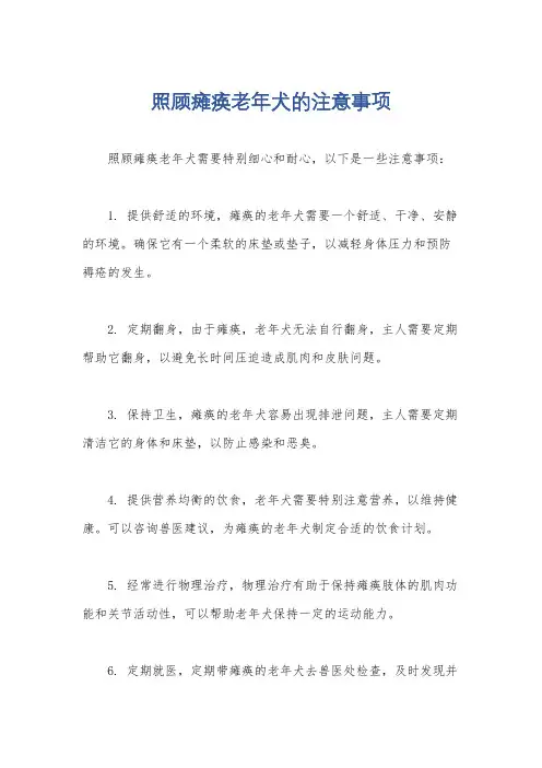 照顾瘫痪老年犬的注意事项