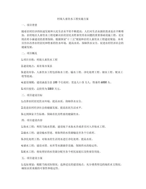 村级人畜饮水工程实施方案