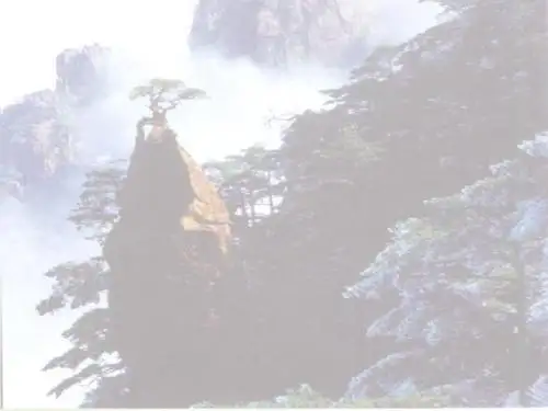 医学科研设计ppt课件