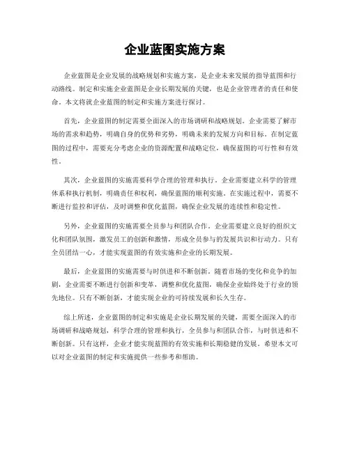 企业蓝图实施方案