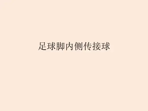 【体育与健康】足球脚内侧传接球 说课课件 高一上学期体育与健康人教版必修第一册