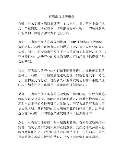 石嘴山市调研报告