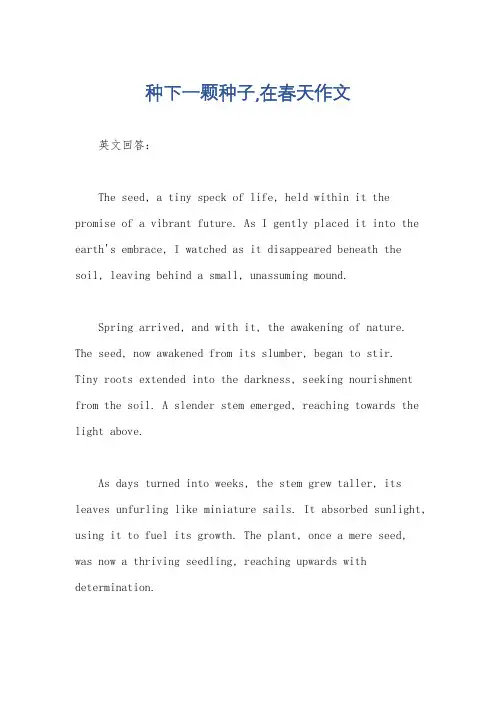 种下一颗种子,在春天作文